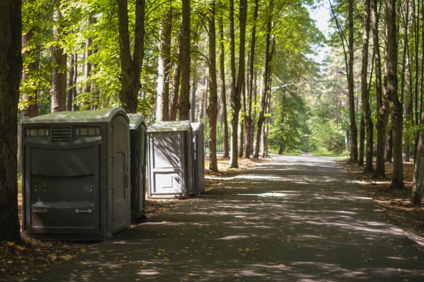 Best Deluxe Portable Toilet Rental in Van Buren, MO